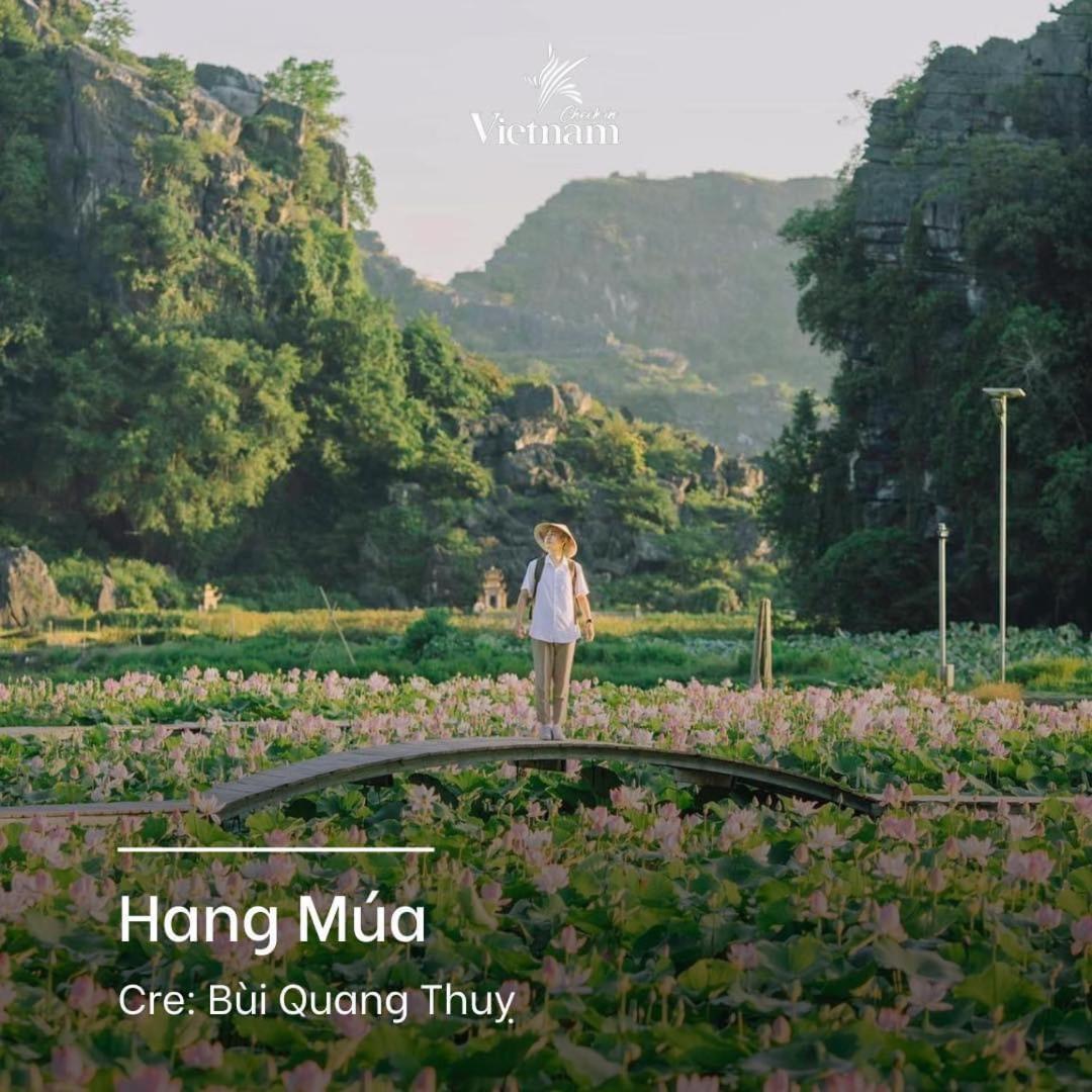 Cherry Homestay Ninh Binh Zewnętrze zdjęcie